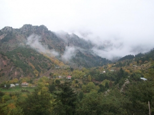 &Kappa;&alpha;&kappa;&omicron;&kappa;&alpha;&iota;&rho;ί&alpha; &laquo;Daniel&raquo;: &Xi;&epsilon;&kappa;&iota;&nu;ά &eta; &kappa;ά&theta;&omicron;&delta;&omicron;&sigmaf; &tau;&eta;&sigmaf; &laquo;&psi;&upsilon;&chi;&rho;ή&sigmaf; &lambda;ί&mu;&nu;&eta;&sigmaf;&raquo;-&Pi;&omicron;ύ &alpha;&nu;&alpha;&mu;έ&nu;&omicron;&nu;&tau;&alpha;&iota; έ&nu;&tau;&omicron;&nu;&alpha; &phi;&alpha;&iota;&nu;ό&mu;&epsilon;&nu;&alpha;