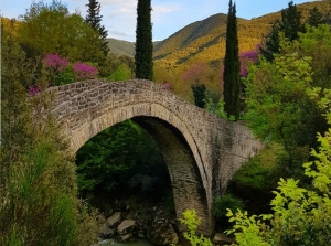 &Tau;&omicron; &epsilon;&pi;&iota;&beta;&lambda;&eta;&tau;&iota;&kappa;ό &pi;έ&tau;&rho;&iota;&nu;&omicron; &gamma;&epsilon;&phi;ύ&rho;&iota; &tau;&eta;&sigmaf; &Beta;έ&rho;&gamma;&alpha;&sigmaf; &sigma;&tau;&omicron;&nu; &Beta;ά&lambda;&tau;&omicron; &Alpha;&iota;&tau;&omega;&lambda;/&nu;ί&alpha;&sigmaf;(&Beta;ί&nu;&tau;&epsilon;&omicron;&amp;&Phi;ώ&tau;&omicron;)
