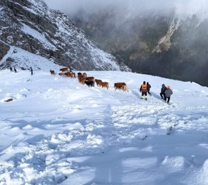 &Delta;&upsilon;&tau;&iota;&kappa;ά Ά&gamma;&rho;&alpha;&phi;&alpha;: &Pi;&epsilon;&rho;&iota;&pi;&epsilon;&tau;&epsilon;&iota;ώ&delta;&eta;&sigmaf; &epsilon;&pi;&iota;&chi;&epsilon;ί&rho;&eta;&sigma;&eta; &alpha;&pi;&epsilon;&gamma;&kappa;&lambda;&omega;&beta;&iota;&sigma;&mu;&omicron;ύ 17 &alpha;&gamma;&epsilon;&lambda;ά&delta;&omega;&nu; &sigma;&epsilon; &upsilon;&psi;ό&mu;&epsilon;&tau;&rho;&omicron; 2.100&mu;!(&Phi;ώ&tau;&omicron; &amp; &Beta;ί&nu;&tau;&epsilon;&omicron;)