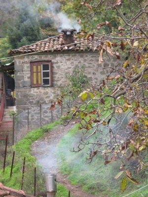 Ένα πρωινό στο χωριό μου