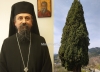 &Sigma;&tau;&omicron;&nu; &Iota;&Nu; &Mu;&epsilon;&tau;&alpha;&mu;&omicron;&rho;&phi;ώ&sigma;&epsilon;&omega;&sigmaf; &Sigma;&omega;&tau;ή&rho;&omicron;&sigmaf; &Pi;&rho;&alpha;&sigma;&iota;ά&sigmaf; &theta;&alpha; &chi;&omicron;&rho;&omicron;&sigma;&tau;&alpha;&tau;ή&sigma;&epsilon;&iota; &alpha;ύ&rho;&iota;&omicron; &omicron; &Mu;&eta;&tau;&rho;&omicron;&pi;&omicron;&lambda;ί&tau;&eta;&sigmaf; &Kappa;&alpha;&rho;&pi;&epsilon;&nu;&eta;&sigma;ί&omicron;&upsilon;