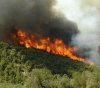 &Phi;&omega;&tau;&iota;ά &sigma;&tau;&omicron;&nu; &Kappa;&iota;&theta;&alpha;&iota;&rho;ώ&nu;&alpha; -&Delta;ύ&sigma;&kappa;&omicron;&lambda;&eta; &eta; &epsilon;&pi;&iota;&chi;&epsilon;ί&rho;&eta;&sigma;&eta; &kappa;&alpha;&tau;ά&sigma;&beta;&epsilon;&sigma;&eta;&sigmaf;
