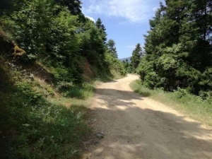 13 &mu;&epsilon;&gamma;ά&lambda;&alpha; έ&rho;&gamma;&alpha; &gamma;&iota;&alpha; &tau;&eta;&nu; &alpha;&gamma;&rho;&omicron;&tau;&iota;&kappa;ή &omicron;&delta;&omicron;&pi;&omicron;&iota;ί&alpha; &sigma;&epsilon; 10 &delta;ή&mu;&omicron;&upsilon;&sigmaf; &tau;&eta;&sigmaf; &Sigma;&tau;&epsilon;&rho;&epsilon;ά&sigmaf;