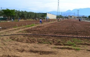 Αγρίνιο:Ξεκινούν οι αιτήσεις για τον Δημοτικό λαχανόκηπο
