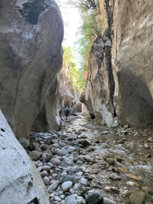 &Tau;&omicron; ..&epsilon;&pi;&iota;&beta;&lambda;&eta;&tau;&iota;&kappa;ό &phi;&alpha;&rho;ά&gamma;&gamma;&iota; &tau;&omega;&nu; &Delta;&upsilon;&tau;&iota;&kappa;ώ&nu;  &Alpha;&gamma;&rho;ά&phi;&omega;&nu;(&Phi;ώ&tau;&omicron;)