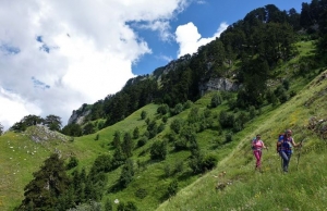 &Epsilon;&xi;ό&rho;&mu;&eta;&sigma;&eta; &sigma;&tau;&eta; &mu;&alpha;&gamma;&epsilon;&upsilon;&tau;&iota;&kappa;ή &Beta;ά&lambda;&iota;&alpha; &Kappa;ά&lambda;&nu;&tau;&alpha; &alpha;&pi;&omicron; &tau;&omicron;&nu; &Omicron;&rho;&epsilon;&iota;&beta;&alpha;&tau;&iota;&kappa;ό &Sigma;ύ&lambda;&lambda;&omicron;&gamma;&omicron; &Alpha;&gamma;&rho;&iota;&nu;ί&omicron;&upsilon;