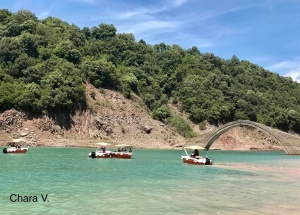 &Epsilon;&nu;&tau;&upsilon;&pi;&omega;&sigma;&iota;&alpha;&kappa;ά &pi;&lambda;ά&nu;&alpha; &alpha;&pi;&omicron; &tau;&iota;&sigmaf; &epsilon;&kappa;&delta;&eta;&lambda;ώ&sigma;&epsilon;&iota;&sigmaf; &sigma;&tau;&eta;&nu; &Lambda;ί&mu;&nu;&eta;  &Kappa;&epsilon;&rho;&epsilon;&mu;&alpha;&sigma;&tau;ώ&nu;-&Mu;&alpha;&gamma;&epsilon;&mu;έ&nu;&omicron;&iota; &omicron;&iota; &epsilon;&pi;&iota;&sigma;&kappa;έ&pi;&tau;&epsilon;&sigmaf;(&Phi;ώ&tau;&omicron;)