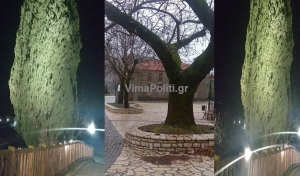 Ά&gamma;&rho;&alpha;&phi;&alpha;:&Phi;&omega;&tau;ί&sigma;&tau;&eta;&kappa;&epsilon; &tau;&omicron; &epsilon;&pi;&iota;&beta;&lambda;&eta;&tau;&iota;&kappa;ό "&Kappa;&upsilon;&pi;&alpha;&rho;ί&sigma;&sigma;&iota; &tau;&eta;&sigmaf; &Pi;&rho;&alpha;&sigma;&iota;ά&sigmaf;"(&Phi;ώ&tau;&omicron; &amp; &Beta;ί&nu;&tau;&epsilon;&omicron;)