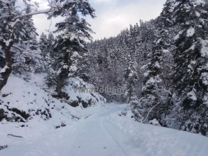 &Sigma;&alpha;&rho;ώ&nu;&epsilon;&iota; &eta; &laquo;&Omega;&kappa;&epsilon;&alpha;&nu;ί&sigmaf;&raquo; &sigma;&tau;&eta;&nu; &Epsilon;&upsilon;&rho;&upsilon;&tau;&alpha;&nu;ί&alpha;-&Chi;&iota;&omicron;&nu;&omicron;&pi;&tau;ώ&sigma;&epsilon;&iota;&sigmaf;,&theta;&upsilon;&epsilon;&lambda;&lambda;ώ&delta;&epsilon;&iota;&sigmaf; ά&nu;&epsilon;&mu;&omicron;&iota; &kappa;&alpha;&iota; &pi;&omicron;&lambda;&iota;&kappa;έ&sigmaf; &theta;&epsilon;&rho;&mu;&omicron;&kappa;&rho;&alpha;&sigma;ί&epsilon;&sigmaf;