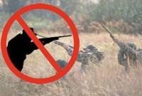 &Epsilon;&nu;ά&nu;&tau;&iota;&alpha; &sigma;&tau;&omicron;&nu; &kappa;&upsilon;&nu;&eta;&gamma;&epsilon;&tau;&iota;&kappa;ό &tau;&omicron;&upsilon;&rho;&iota;&sigma;&mu;ό &omicron;&iota; &phi;ί&lambda;&omicron;&iota; &tau;&omicron;&upsilon; &delta;ά&sigma;&omicron;&upsilon;&sigmaf;