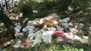 Ά&gamma;&rho;&alpha;&phi;&alpha;:&Pi;έ&tau;&alpha;&xi;&alpha;&nu; &tau;&alpha;&hellip;&pi;&rho;&omicron;&iota;&kappa;&iota;ά &tau;&omicron;&upsilon;&sigmaf; &sigma;&tau;&omicron; &rho;έ&mu;&alpha;(&Phi;ώ&tau;&omicron;)