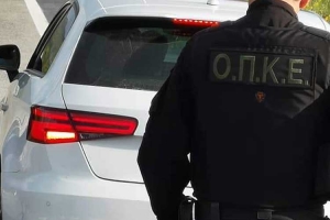 &Alpha;&gamma;&rho;ί&nu;&iota;&omicron;: Ά&gamma;&rho;&iota;&omicron;&sigmaf; &kappa;&alpha;&upsilon;&gamma;ά&sigmaf; &sigma;&tau;&eta;&nu; &pi;&epsilon;&rho;&iota;&omicron;&chi;ή &tau;&omicron;&upsilon; &Pi;ά&rho;&kappa;&omicron;&upsilon; &mu;&pi;&rho;&omicron;&sigma;&tau;ά &sigma;&tau;&alpha; &mu;ά&tau;&iota;&alpha; &pi;&alpha;&iota;&delta;&iota;ώ&nu;