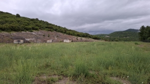 Ά&gamma;&rho;&alpha;&phi;&alpha;: &Epsilon;&iota;&kappa;ό&nu;&epsilon;&sigmaf; &epsilon;&gamma;&kappa;&alpha;&tau;ά&lambda;&epsilon;&iota;&psi;&eta;&sigmaf; &sigma;&tau;&omicron; &gamma;ή&pi;&epsilon;&delta;&omicron; &tau;&eta;&sigmaf; &Delta;&upsilon;&tau;&iota;&kappa;ή&sigmaf; &Phi;&rho;&alpha;&gamma;&kappa;ί&sigma;&tau;&alpha;&sigmaf;-&Mu;&iota;&alpha; &pi;&lambda;&eta;&gamma;ή &pi;&omicron;&upsilon; &mu;&alpha;&rho;&tau;&upsilon;&rho;ά &tau;&eta;&nu; &alpha;&delta;&iota;&alpha;&phi;&omicron;&rho;ί&alpha; (&Phi;ώ&tau;&omicron;)