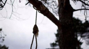 &Tau;&rho;&alpha;&gamma;&omega;&delta;ί&alpha; &sigma;&tau;&omicron; &Alpha;&gamma;&rho;ί&nu;&iota;&omicron;: 23&chi;&rho;&omicron;&nu;&omicron;&sigmaf; &epsilon;&nu;&tau;&omicron;&pi;ί&sigma;&tau;&eta;&kappa;&epsilon; &kappa;&rho;&epsilon;&mu;&alpha;&sigma;&mu;έ&nu;&omicron;&sigmaf; &sigma;&tau;&eta;&nu; &Lambda;&epsilon;&pi;&epsilon;&nu;&omicron;ύ