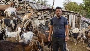 Η νέα ζωή του Χρήστου: Από τους δρόμους της Αθήνας, κτηνοτρόφος στα Άγραφα
