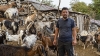 &Eta; &nu;έ&alpha; &zeta;&omega;ή &tau;&omicron;&upsilon; &Chi;&rho;ή&sigma;&tau;&omicron;&upsilon;: &Alpha;&pi;ό &tau;&omicron;&upsilon;&sigmaf; &delta;&rho;ό&mu;&omicron;&upsilon;&sigmaf; &tau;&eta;&sigmaf; &Alpha;&theta;ή&nu;&alpha;&sigmaf;, &kappa;&tau;&eta;&nu;&omicron;&tau;&rho;ό&phi;&omicron;&sigmaf; &sigma;&tau;&alpha; Ά&gamma;&rho;&alpha;&phi;&alpha;