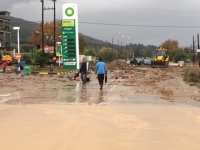&Kappa;&omicron;&mu;έ&nu;&eta; &sigma;&tau;&alpha; &delta;ύ&omicron; &eta; &Alpha;&iota;&tau;&omega;&lambda;/&nu;ί&alpha;-&Pi;&lambda;&eta;&mu;&mu;ύ&rho;&epsilon;&sigmaf; &kappa;&alpha;&iota; &kappa;&alpha;&tau;&omicron;&lambda;&iota;&sigma;&theta;ή&sigma;&epsilon;&iota;&sigmaf; &sigma;&epsilon; &Alpha;&gamma;&rho;ί&nu;&iota;&omicron; &kappa;&alpha;&iota; &Mu;&epsilon;&sigma;&omicron;&lambda;ό&gamma;&gamma;&iota;